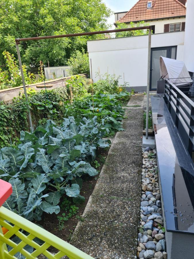 Ferienwohnung Am Schloss FDH Exteriör bild